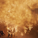 Famous dragon fire-grilling tactic
